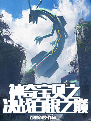 墨星写作网-神奇宝贝之决战白银之巅