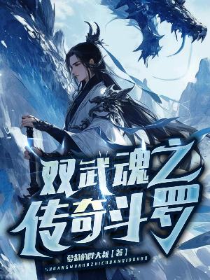 墨星写作网-双武魂之传奇斗罗